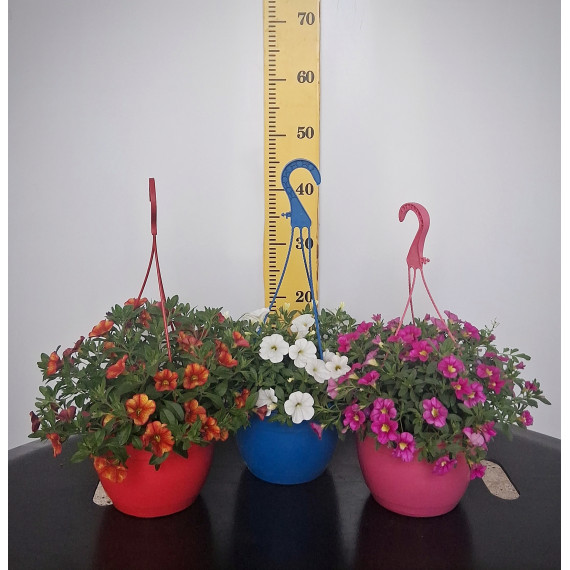 ΜΙΛΛΙΟΝ ΜΠΕΛΣ, 20cm