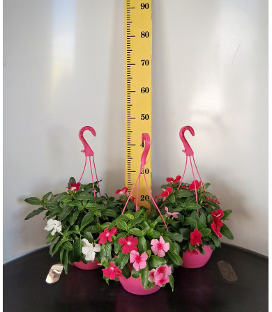 ΒΙΝΚΑ ΚΡΕΜΑΣΤΗ, 20cm