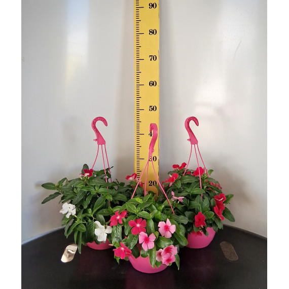 ΒΙΝΚΑ ΚΡΕΜΑΣΤΗ, 20cm